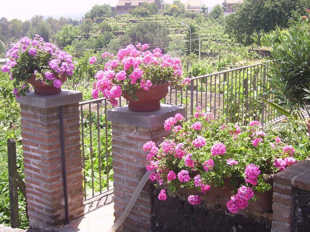 B&B Villa Dagala Santa Venerina Rum bild